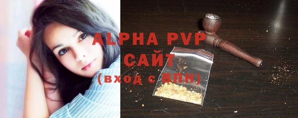 PSILOCYBIN Магас