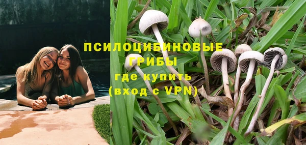 PSILOCYBIN Магас