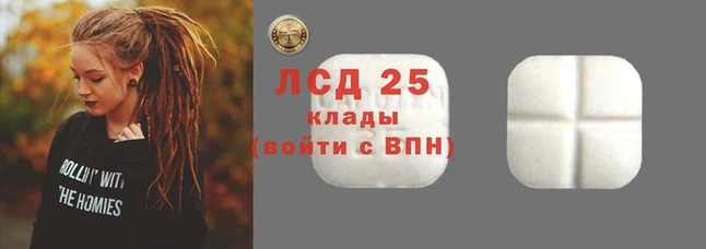 PSILOCYBIN Магас