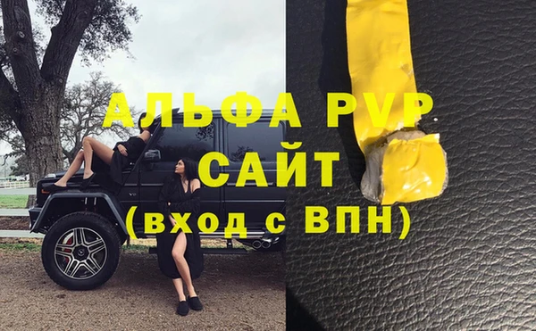 PSILOCYBIN Магас